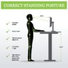 Sit Stand Correct Posture