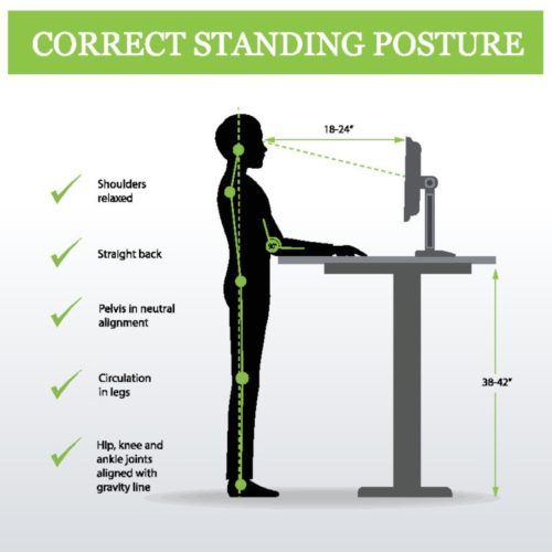 Sit Stand Correct Posture