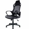 Cyrus Ergonomic High-Back Mesh Chair